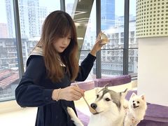 -怪兽屋·羊驼·猫咖·狗咖(俊华广场店)