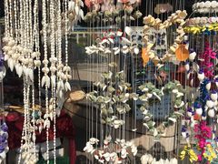 -日照世帆赛基地