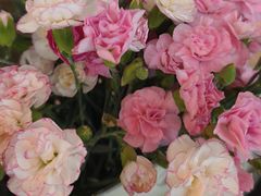 -半秋山西餐厅(巴南万达广场店)