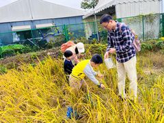 -季高兔窝窝亲子园(上海薰衣草公园店)