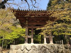 -醍醐寺