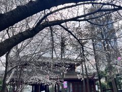 -堤角公园