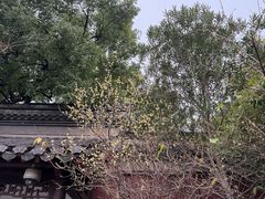 -钱王祠