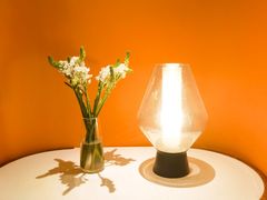 -阿妮叶李(光谷世界城店)