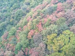 -少华山国家森林公园