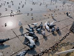 -星海广场