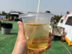 -上林马术中央公园·户外露营·团建·骑乘