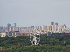 -宜兴龙背山森林公园