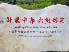-卧龙中华大熊猫苑神树坪基地