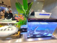 -伍棵煋炭烤自助料理·烤鳗鱼(浦东食品城店)