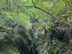 -牛背梁国家森林公园