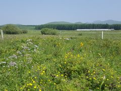 -塞罕坝国家级自然保护区