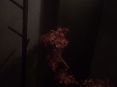 -39°·叁十九度·浴足SPA(龙湖滨江天街总店)