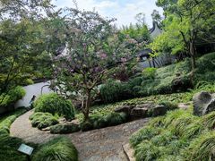 -上海醉白池公园