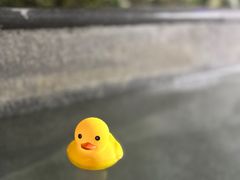 -天目湖御水温泉·度假酒店