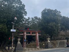 -奈良公园