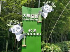 -安吉竹博园