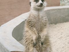 -呀路古热带植物园