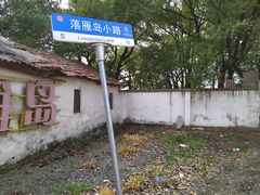 -东湖落雁景区