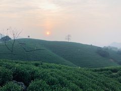 -帐篷客·溪龙茶谷度假酒店