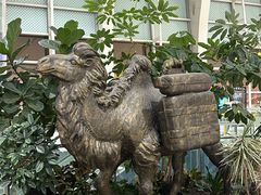 -银川河东国际机场