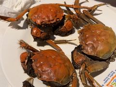 -领鲜活海鲜榴莲自助火锅(东门店)