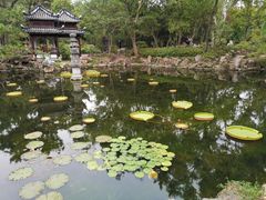 -南翔古镇