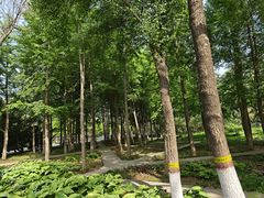 -石家庄市植物园