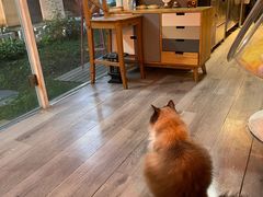 -灯塔咖啡馆BOOK·Coffee Shop