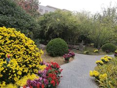 -刘青霞故居(宋都皇城旅游度假区)