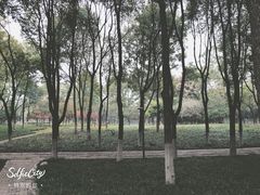 -后襄河公园