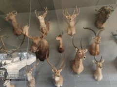 -陕西自然博物馆