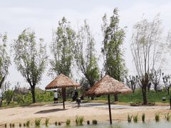 -中华郡文化旅游景区
