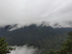 -九华山聚龙大酒店