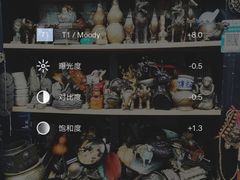 -万商花鸟市场