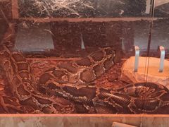 -哈尔滨北方森林动物园