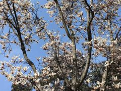 -南京市江宁方山