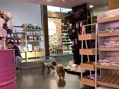 大堂-百好乐宠物友好餐厅(朝外大街店)