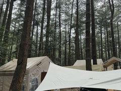 -重庆睡佛山森林公园