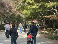 -灵顺寺