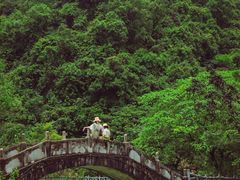 -靖西鹅泉风景区