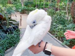 -南宫五洲植物乐园