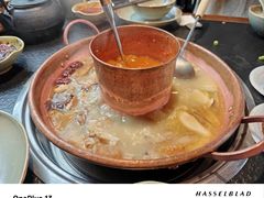 -菌自由丨野生菌火锅特色庭院餐厅(丽江古城店)