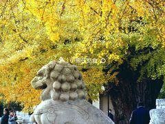 -北京石刻艺术博物馆(五塔寺)