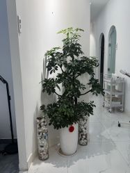 -HAO美皮肤管理·美甲美睫