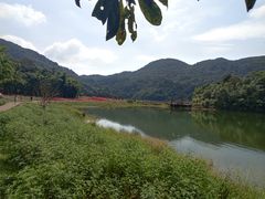 -广州市石门国家森林公园