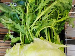 营养蔬菜拼盘-阳坊胜利涮羊肉(阳坊老店)