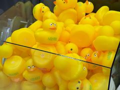 -万达广场(厦门湖里店)