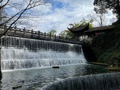-丽芹豆粉店