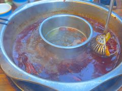 -金鼎雪山牦牛杂火锅(理县总店)